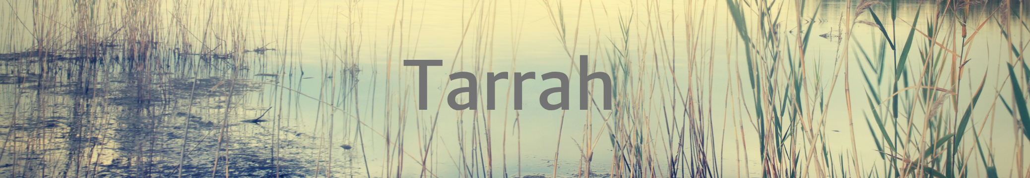 Tarrah's Header Banner
